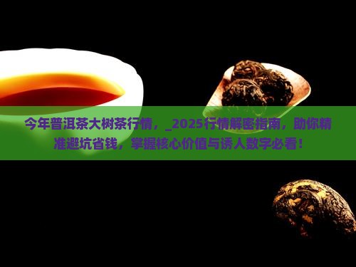 今年普洱茶大树茶行情