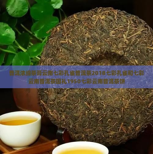 普洱浓缩茶膏云南七彩孔雀普洱茶