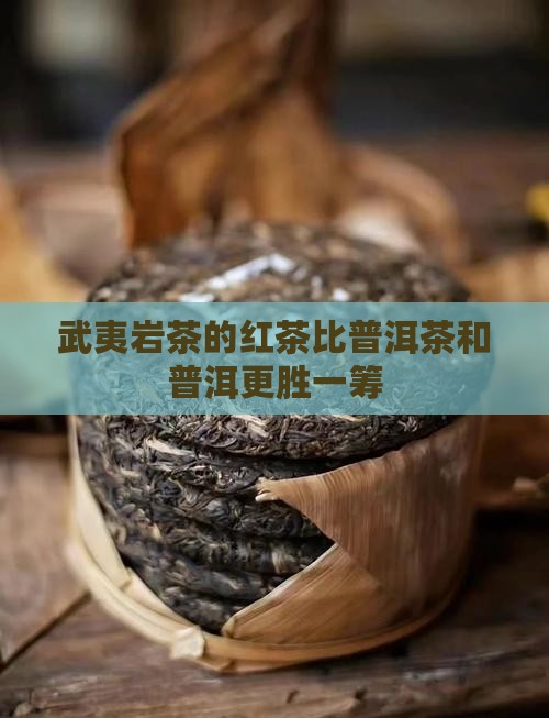 武夷山红茶比普洱茶好喝