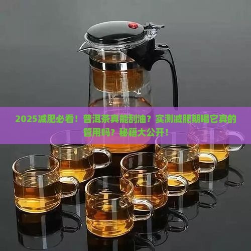 减肥期可以喝普洱茶