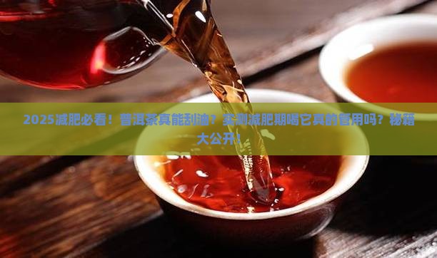 减肥期可以喝普洱茶