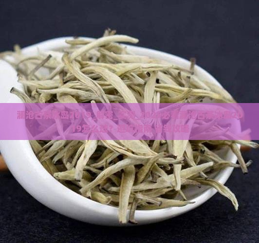 澜沧古茶冰岛2019