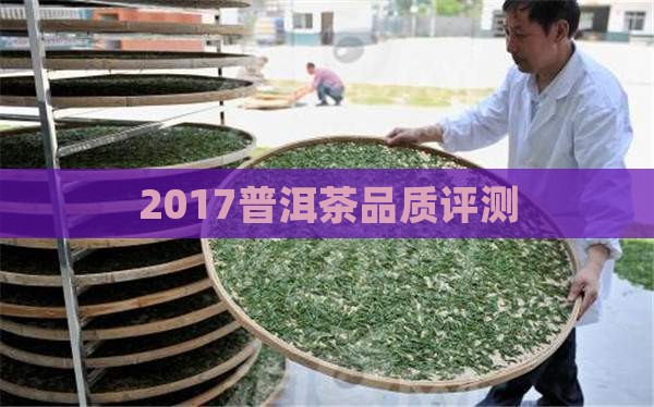2017普洱茶品质