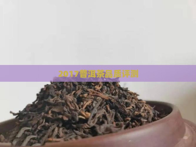 2017普洱茶品质