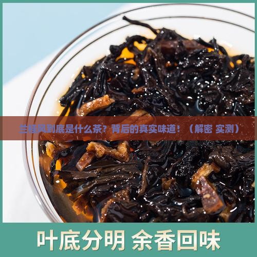兰桂风是什么茶