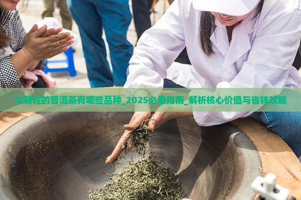 大颗粒的普洱茶有哪些品种