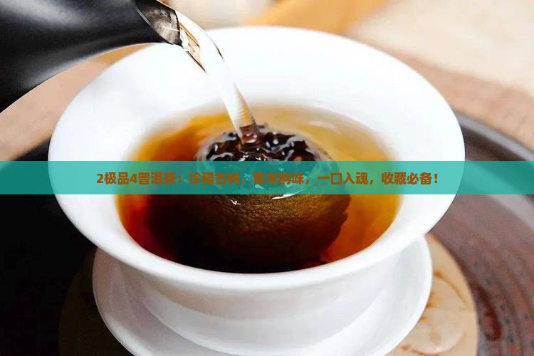 2极品4普洱茶