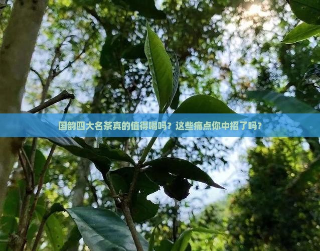 国韵中华四大名茶
