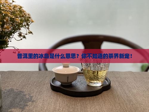 普洱里的冰岛什么意思