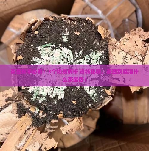 茶壶一般泡什么茶