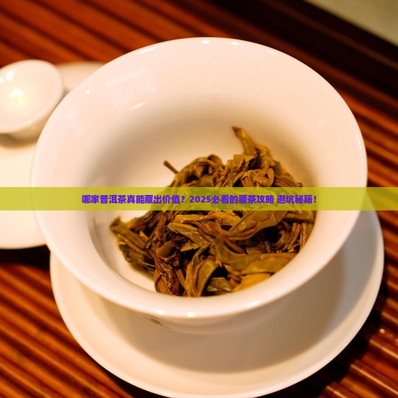 哪家的普洱茶值得购买藏