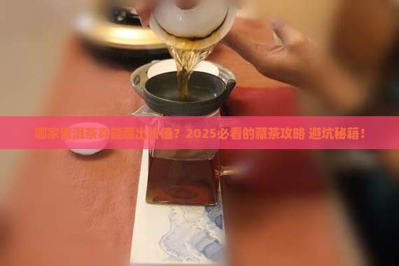 哪家的普洱茶值得购买藏