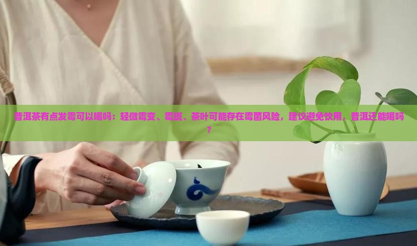 普洱茶有点发霉可以喝吗