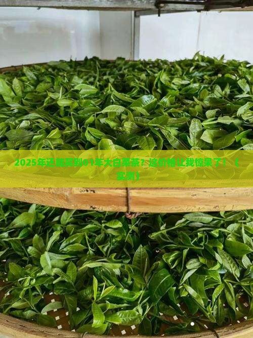 01年大白菜茶现在什么价格