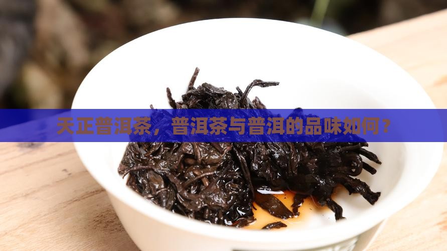 天正普洱茶好嘛