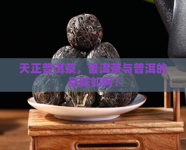 天正普洱茶好嘛