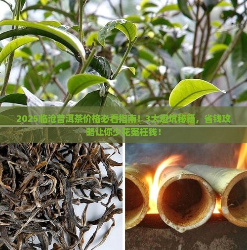正宗临沧普洱茶价格