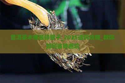 普洱茶木桶装碎银子
