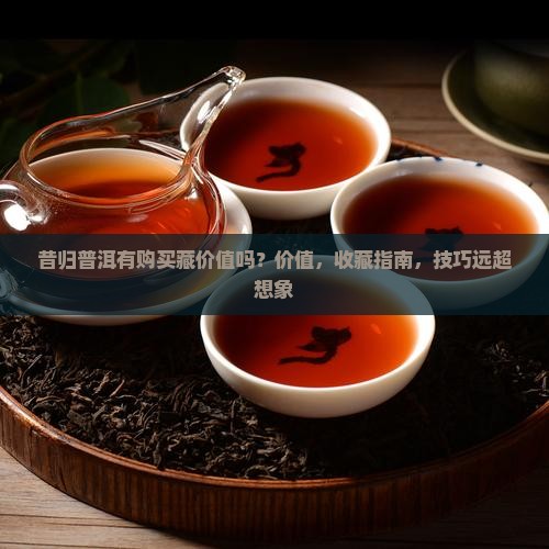 昔归普洱有购买藏价值吗