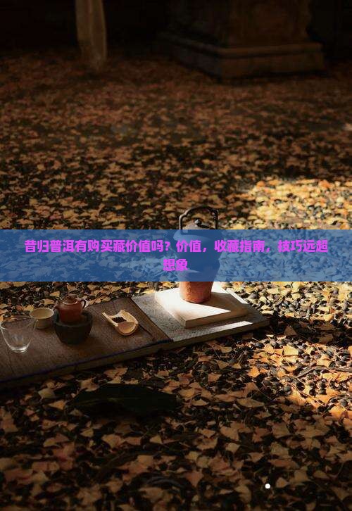 昔归普洱有购买藏价值吗