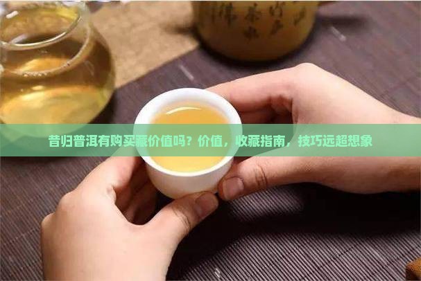 昔归普洱有购买藏价值吗