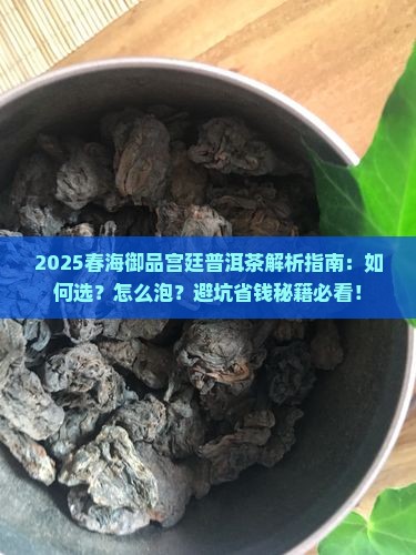 春海御品宫廷普洱茶