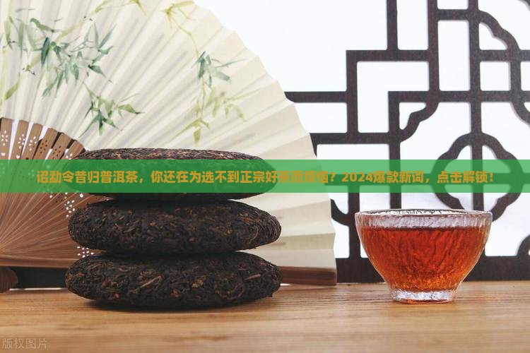 诏勐令昔归普洱茶