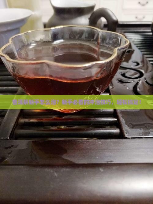 普洱茶新手泡法