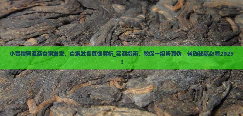 小青柑普洱茶白霜发霉
