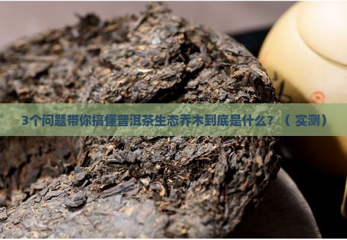 普洱茶生态乔木是什么意思