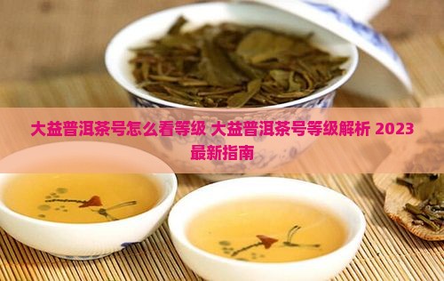 大益普洱茶号怎么看等级
