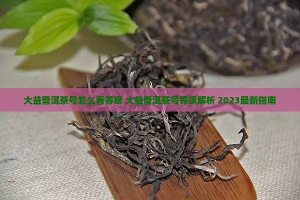 大益普洱茶号怎么看等级