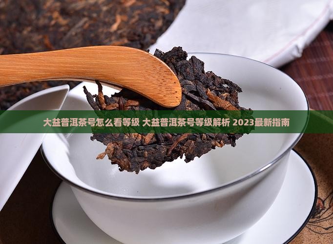 大益普洱茶号怎么看等级