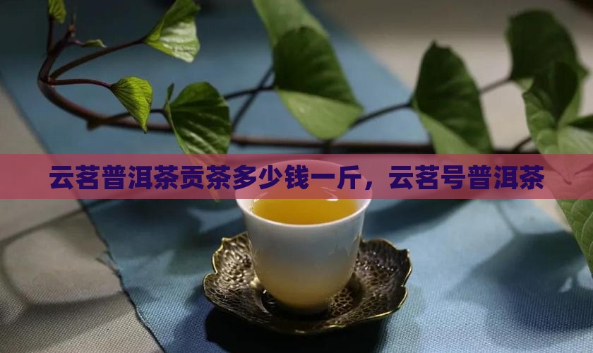 云茗普洱茶贡茶多少钱