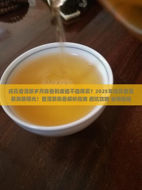 戎氏普洱茶岁月陈香