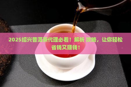 绍兴普洱茶代理条件