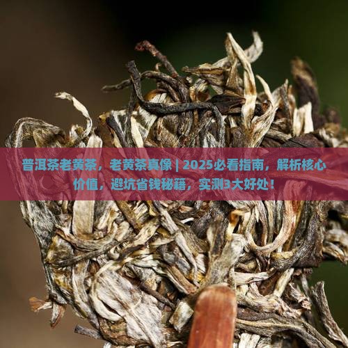 缅甸普洱茶老黄茶