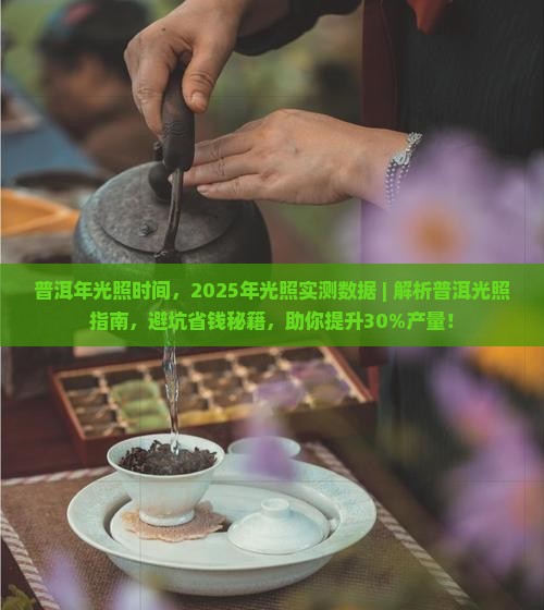 普洱年光照时间