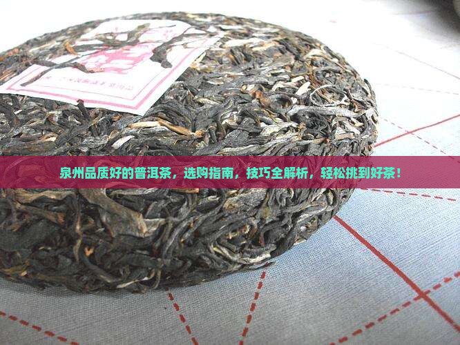 泉州品质好的普洱茶