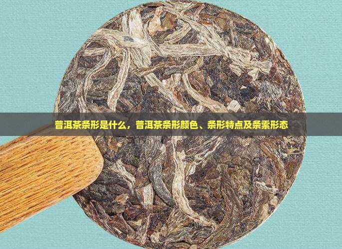普洱茶条形是什么