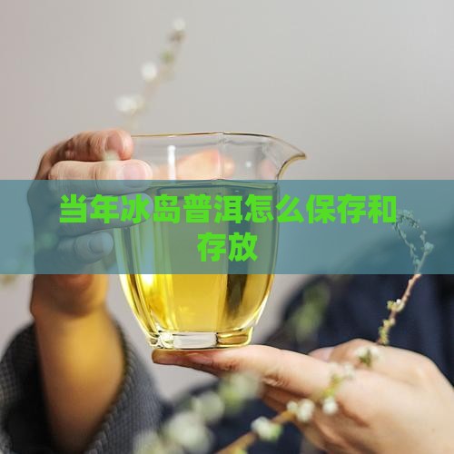 当年冰岛茶怎么放