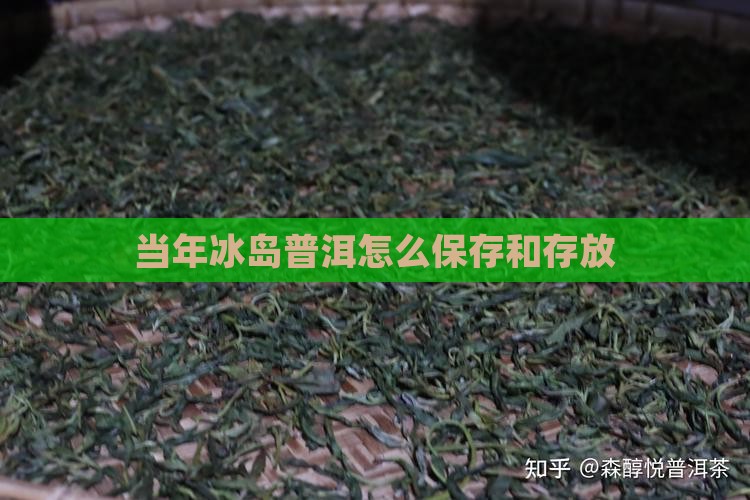 当年冰岛茶怎么放