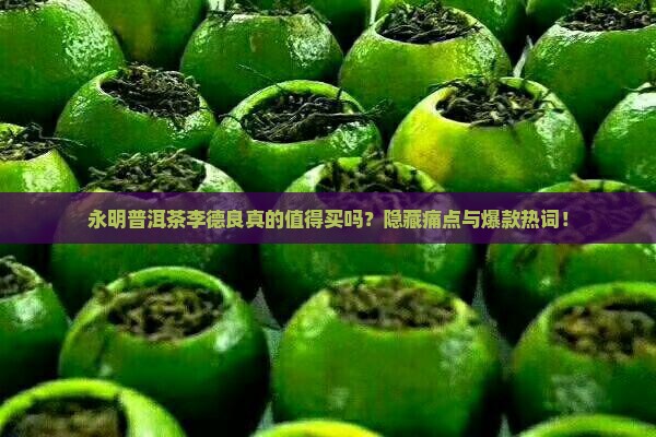 永明普洱茶李德良