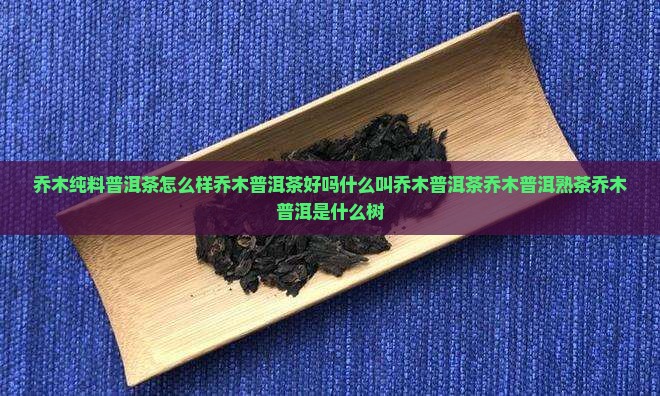 乔木纯料普洱茶