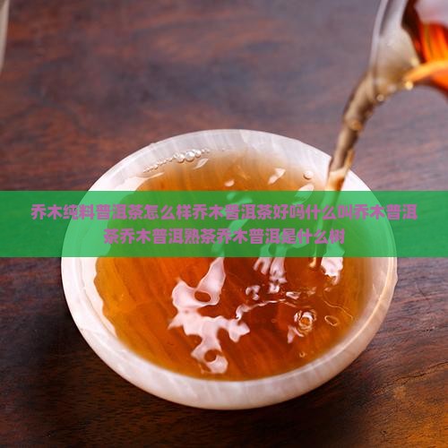 乔木纯料普洱茶