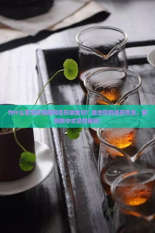 普洱茶直播间的金句