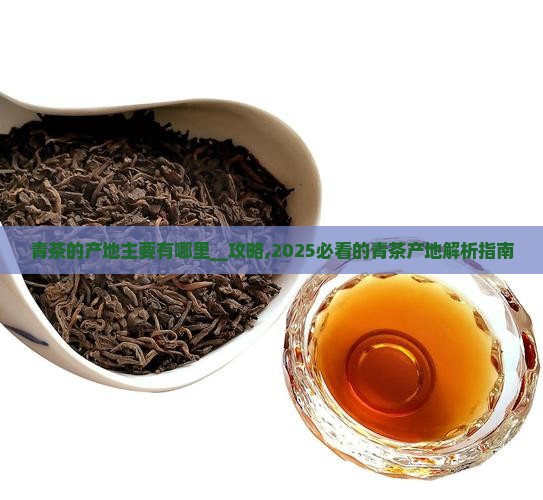 青茶的产地主要有哪里 青茶的产地主要有哪里