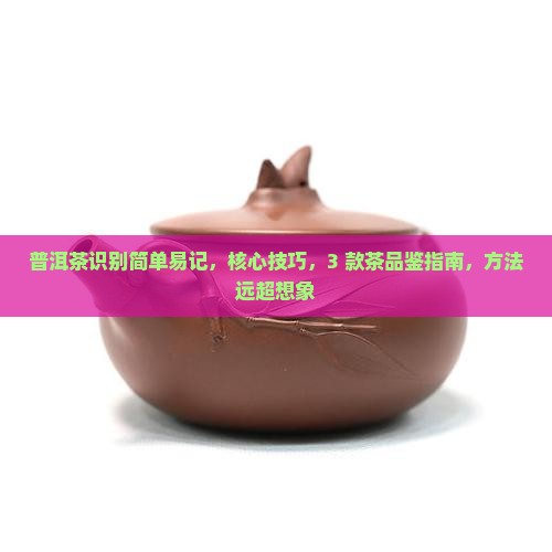 普洱茶识别简单易记