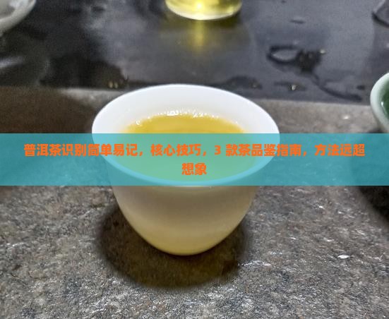 普洱茶识别简单易记