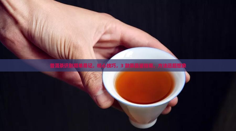 普洱茶识别简单易记